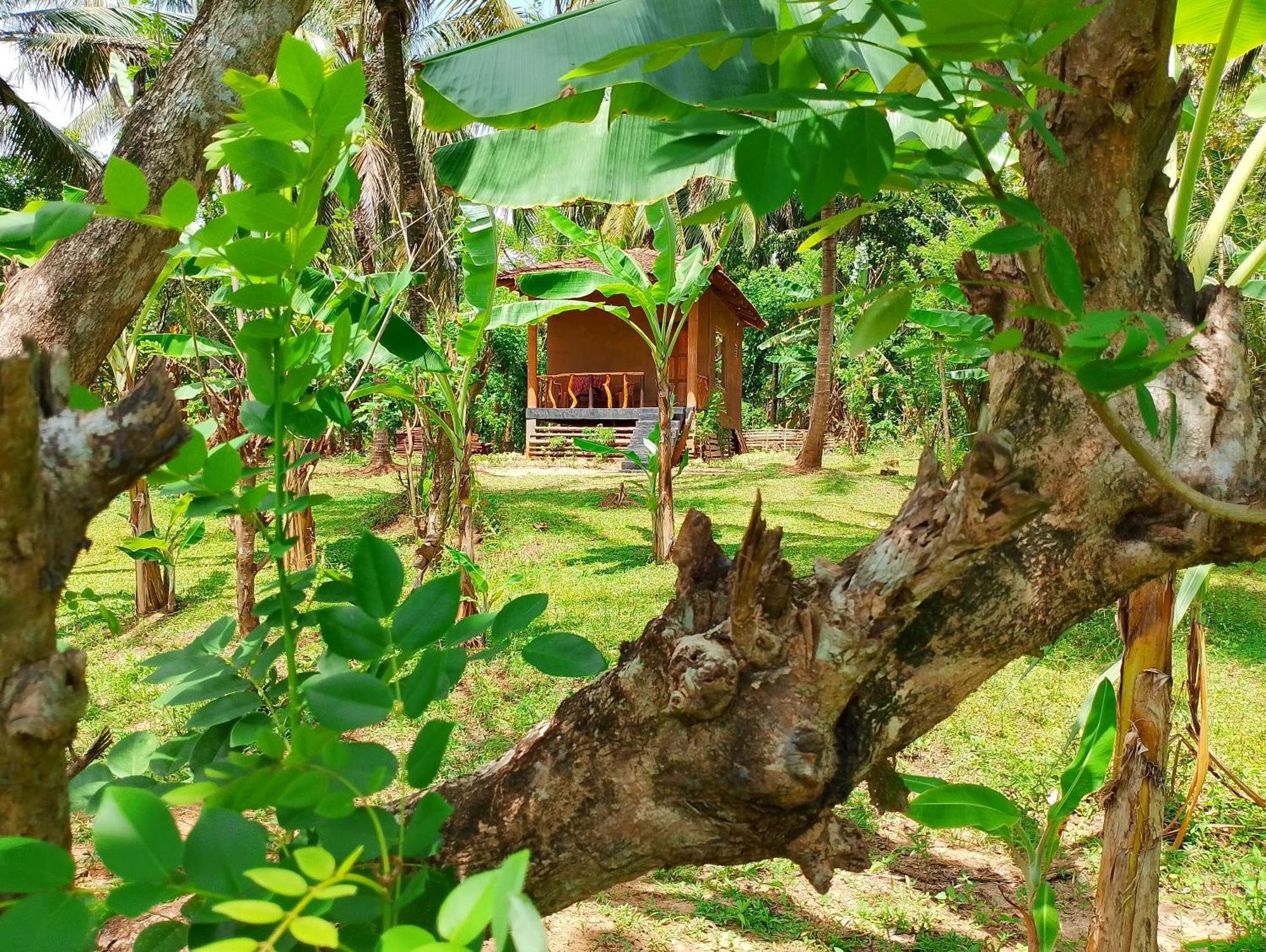 Milk House Cottage Удавалаве Екстериор снимка