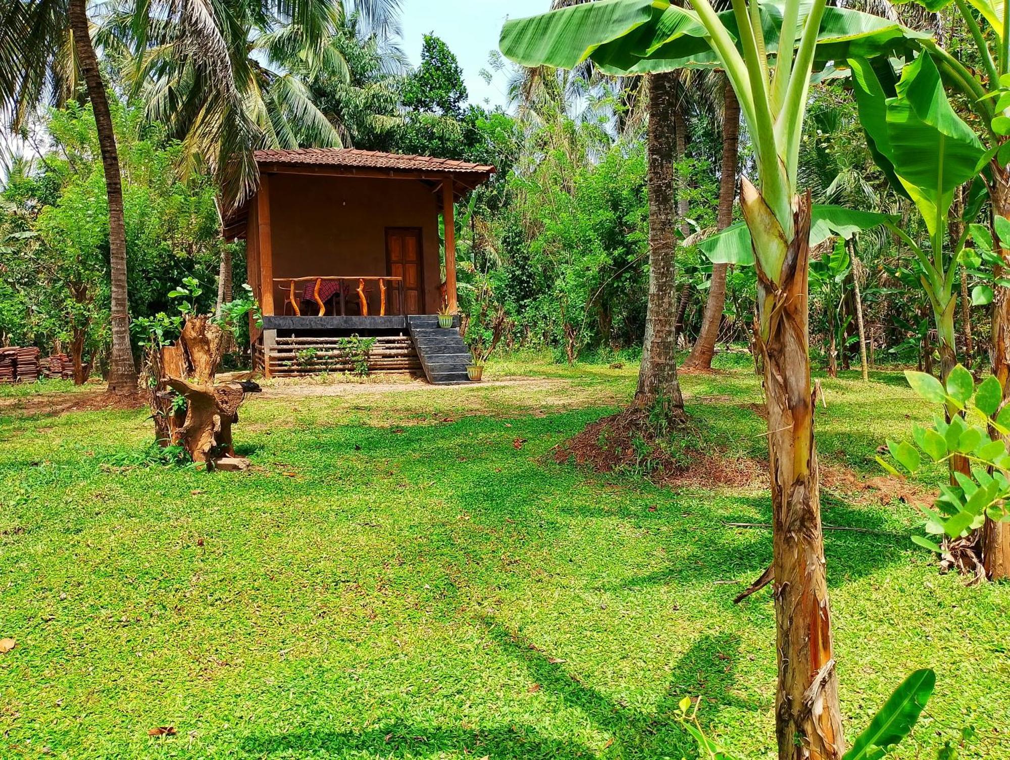 Milk House Cottage Удавалаве Екстериор снимка