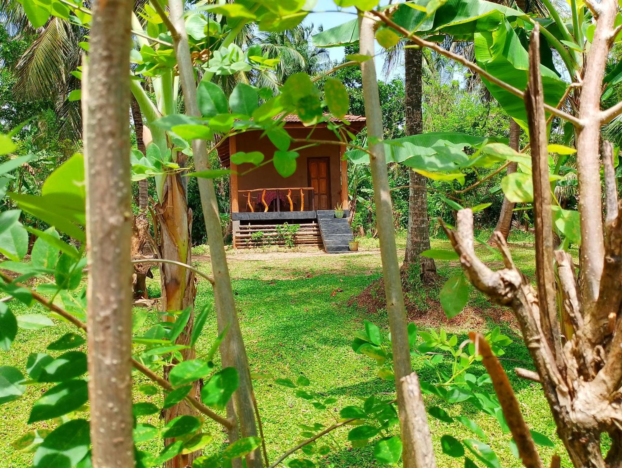 Milk House Cottage Удавалаве Стая снимка